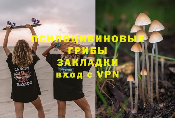 прущая мука Аркадак