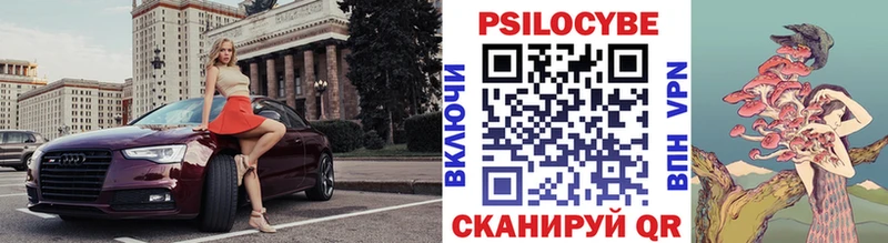 где продают   Губкин  Галлюциногенные грибы ЛСД 